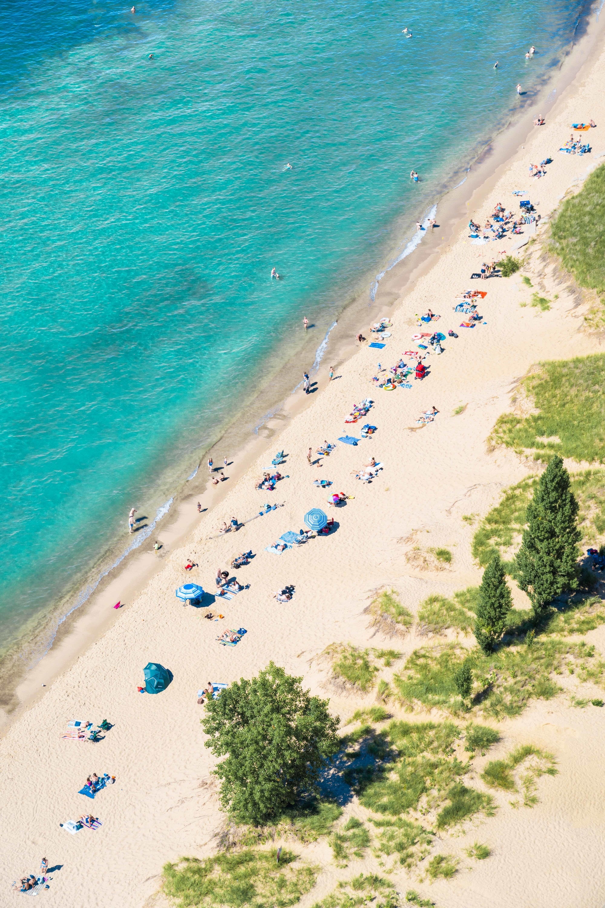 Saugatuck Beach Day Vertical, Michigan