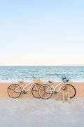 Sea Wall Sunset, Palm Beach