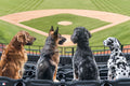 Seventh-Inning Stretch
