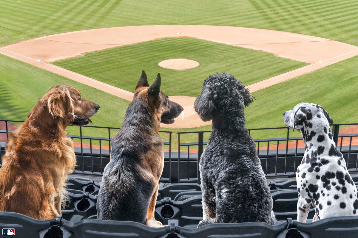 Seventh-Inning Stretch
