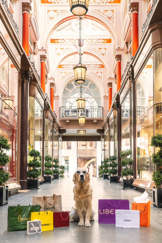 Shopping Spree, The Royal Arcade, London