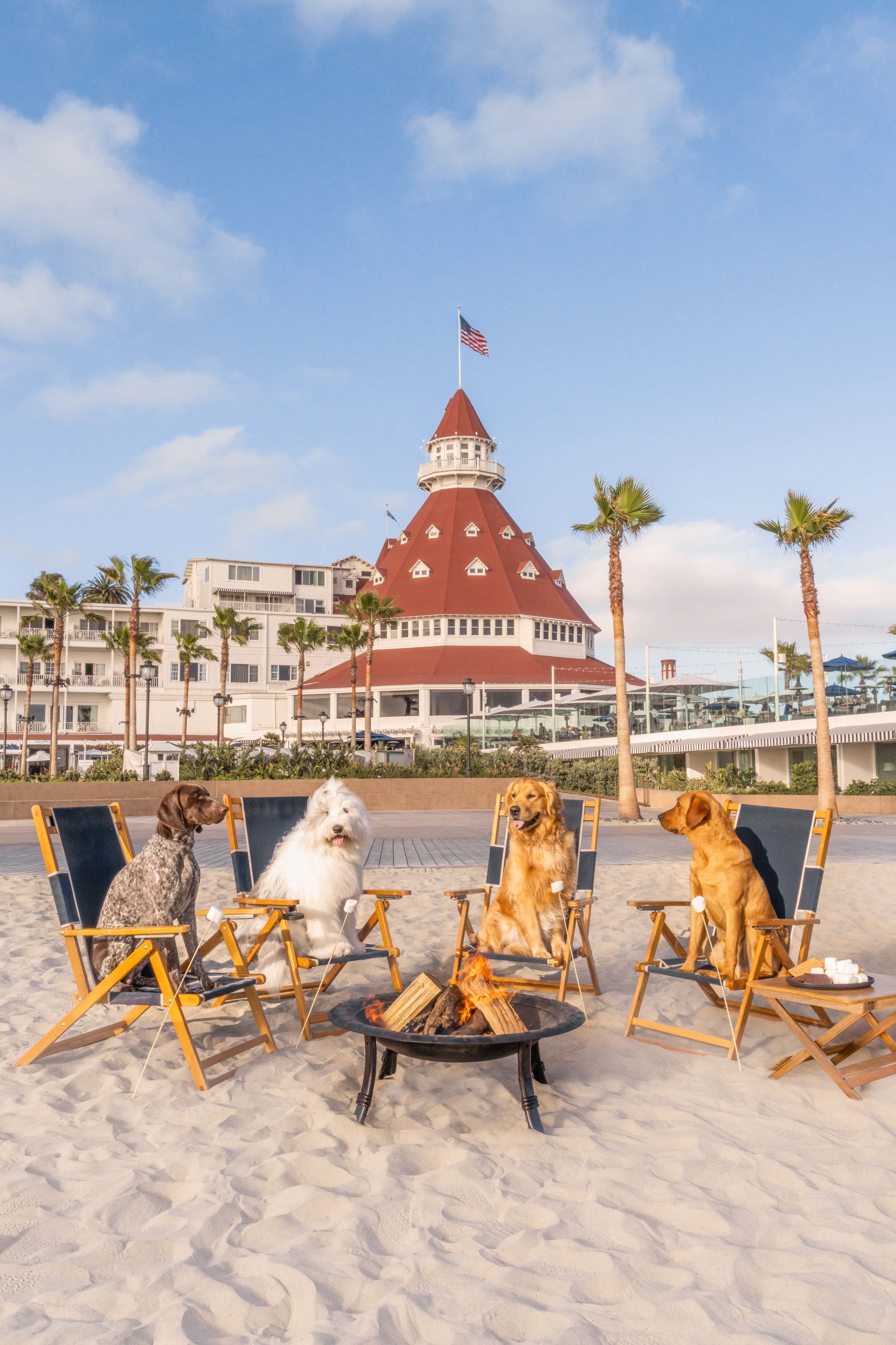 S’mores on the Beach, Hotel del Coronado