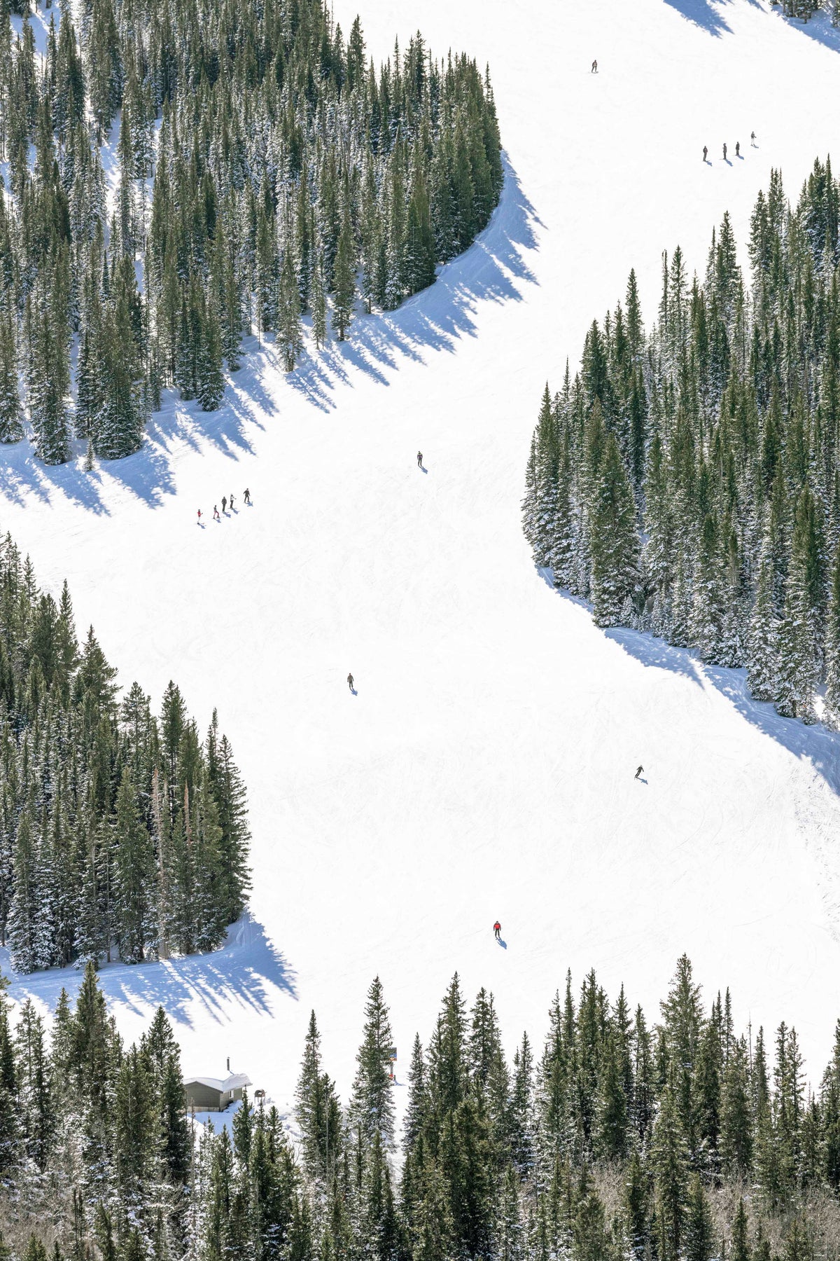 Sneaky’s Run, Snowmass Mountain
