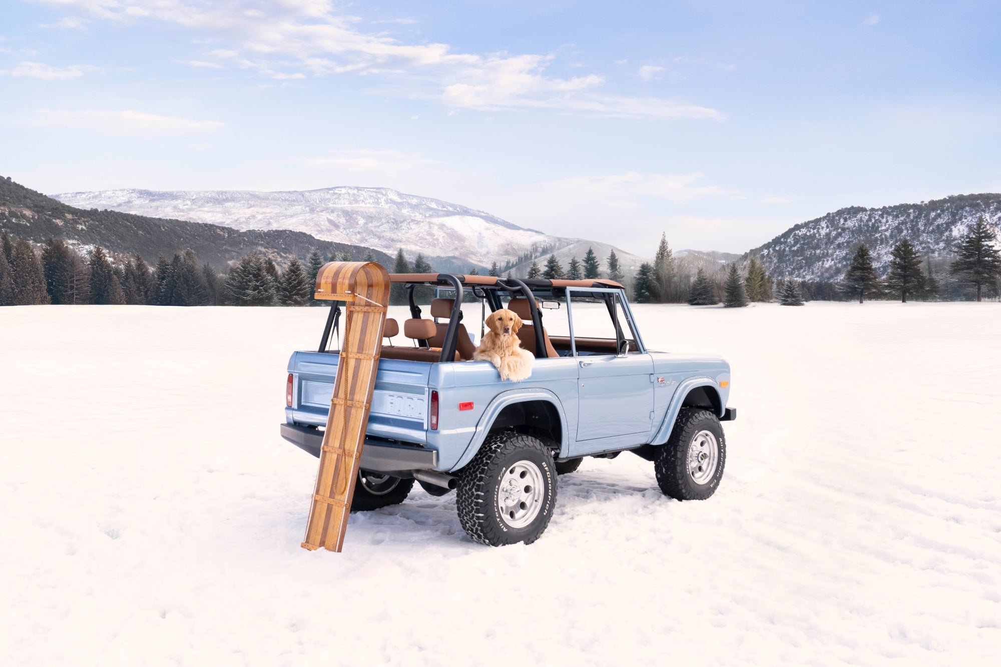 Snow Bronco Pup, Aspen