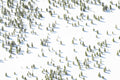 Snowy Landscape, Yellowstone National Park