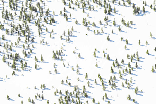 Product image for Snowy Landscape, Yellowstone National Park