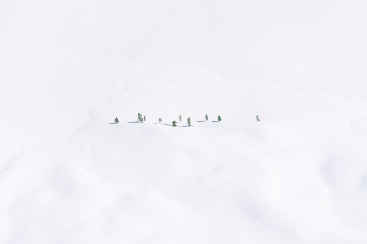 Snowy Wonderland, Yellowstone National Park