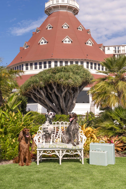 Product image for Some Like It Hot, Hotel del Coronado