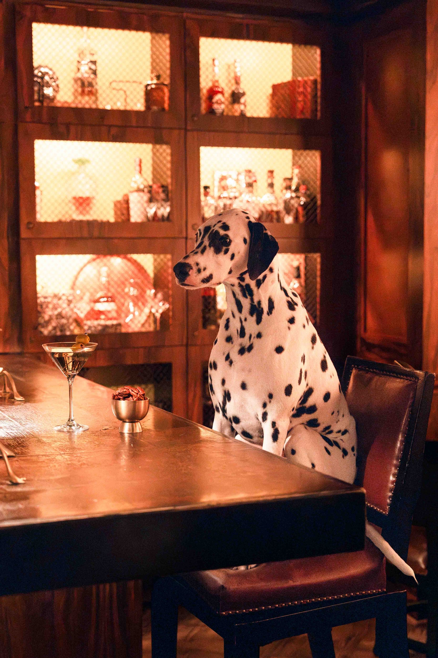 Spotted at The Mansion Bar