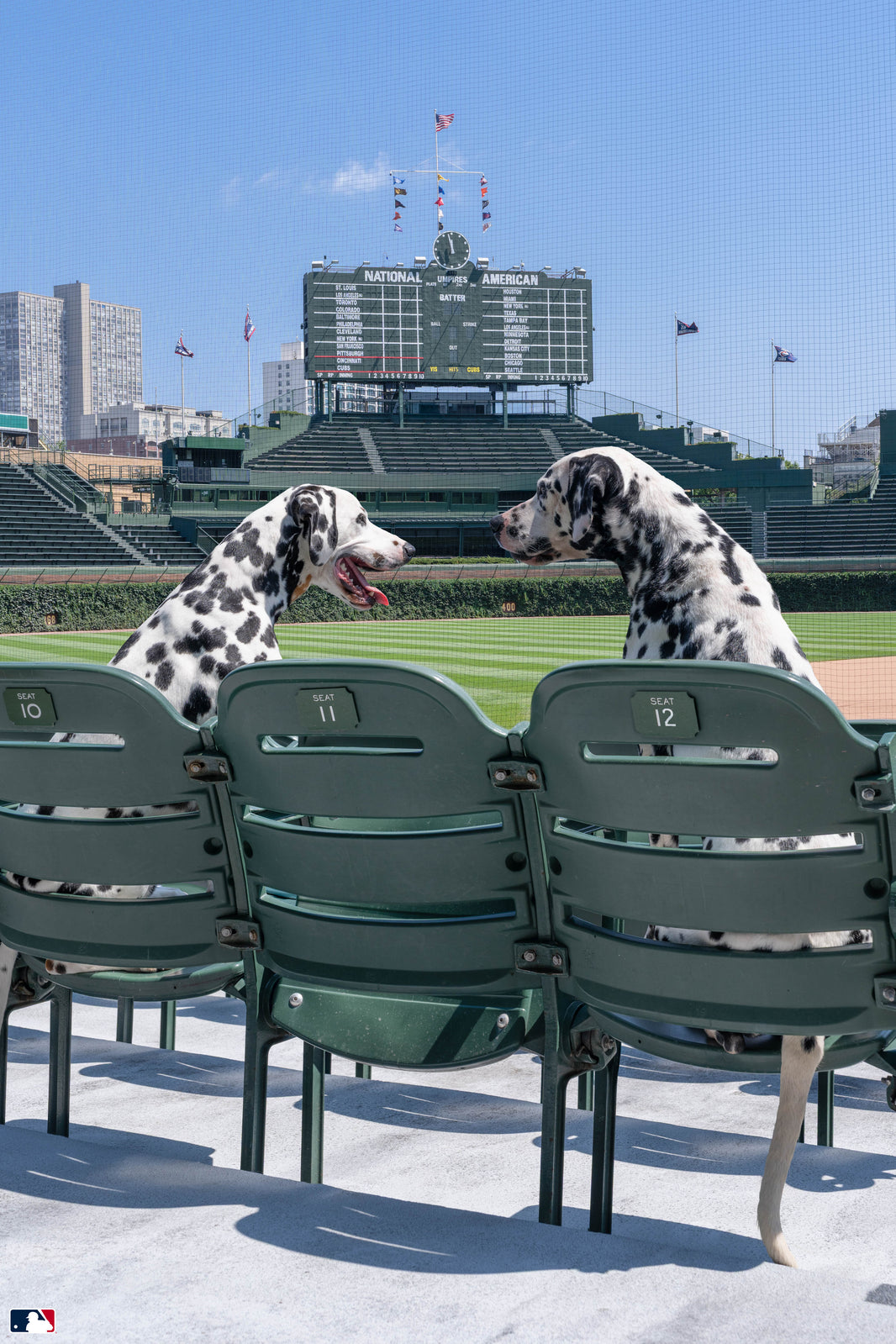 Spotted in the Stands, Wrigley Field, Chicago