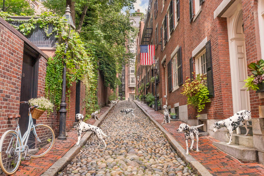 Spotted on Acorn Street, Beacon Hill, Boston