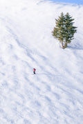 Sun Valley Skier, Christmas Bowl