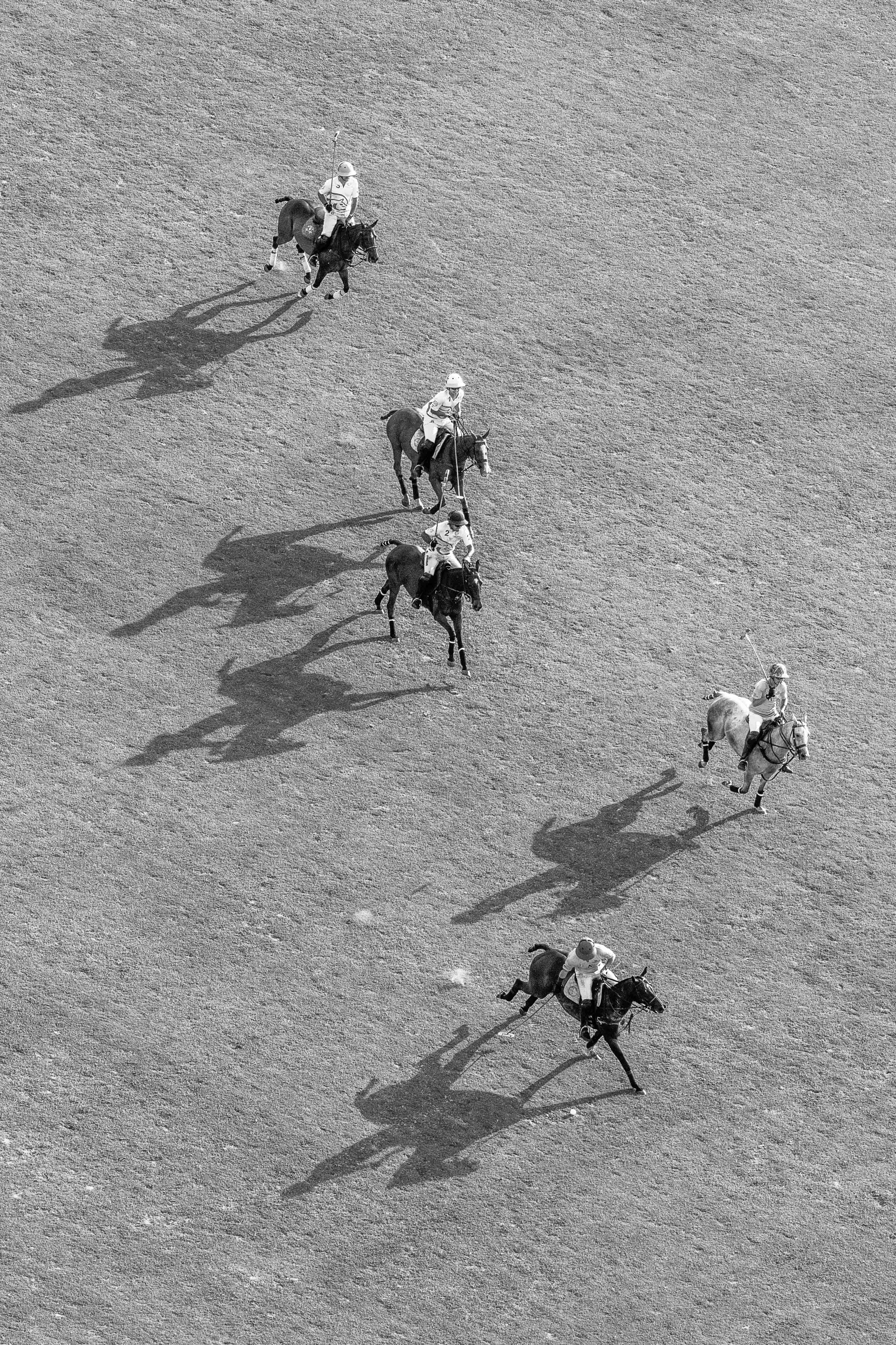 The Breakaway (Black and White), Polo Club