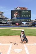 The Center Fielder