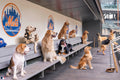 The Dugout