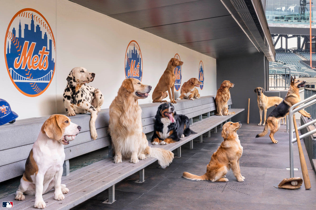 The Dugout