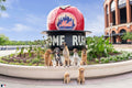 The Home Run Apple Pups