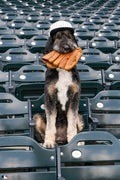 The Season Ticket Holder