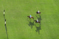 The Advance, Polo Club