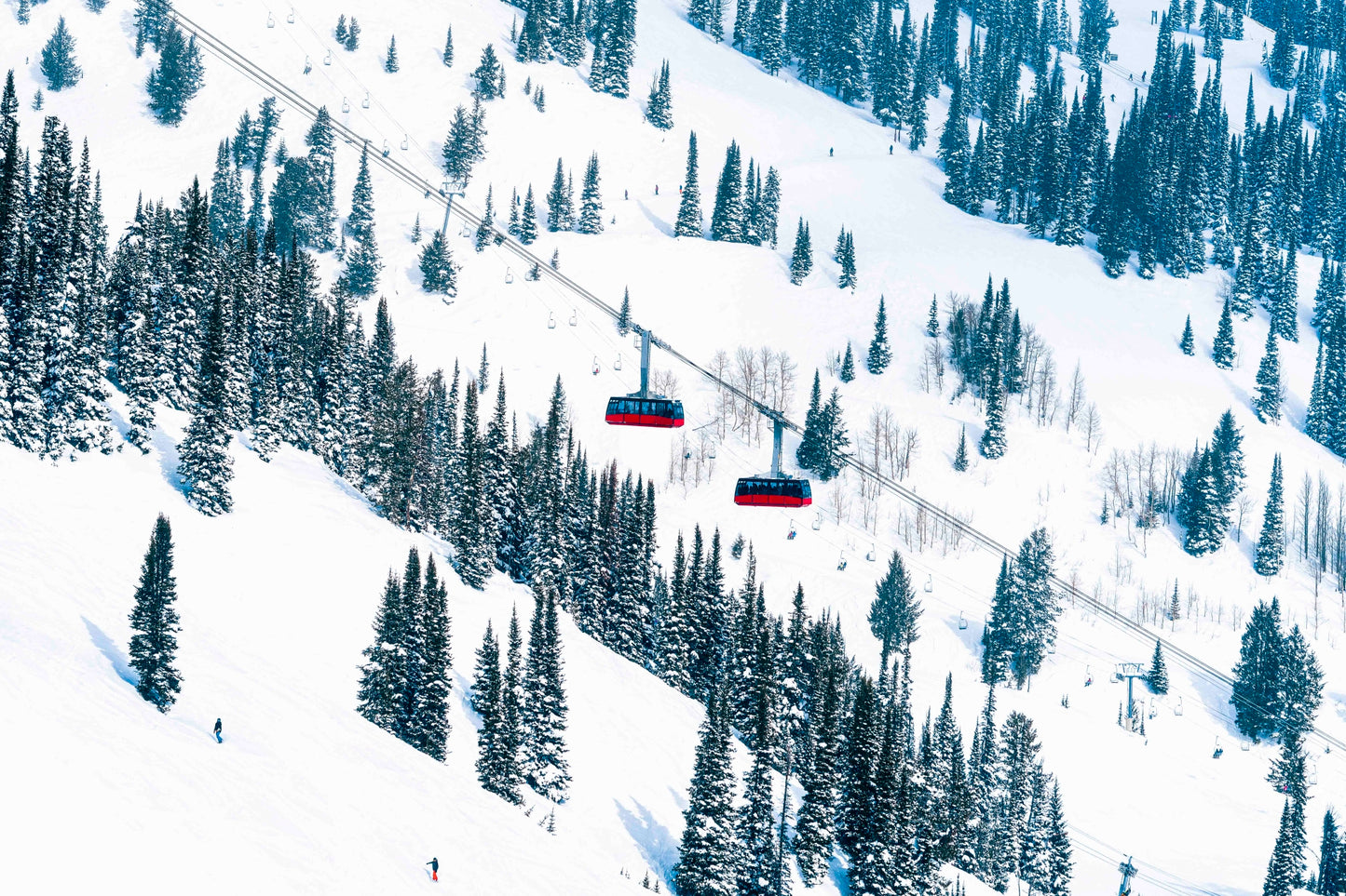 The Aerial Trams, Jackson Hole