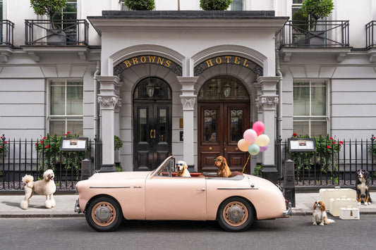 Product image for The Arrival, Brown’s Hotel, London