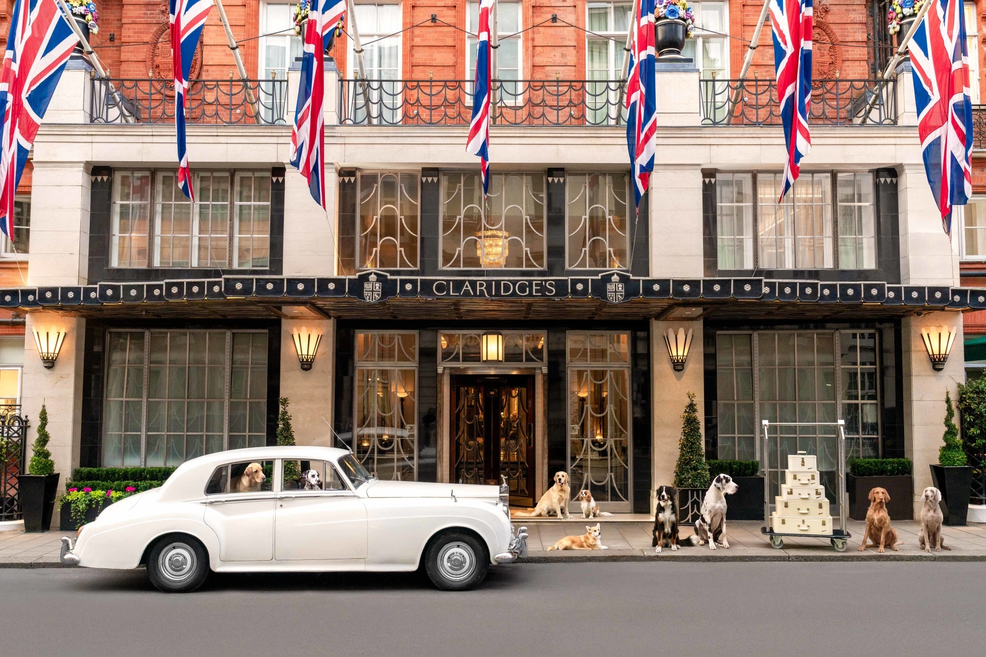 The Arrival, Claridge’s Hotel, London