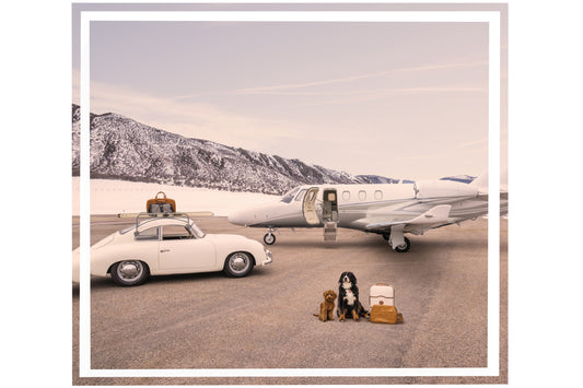 The Aspen Arrival Tray by Gray Malin