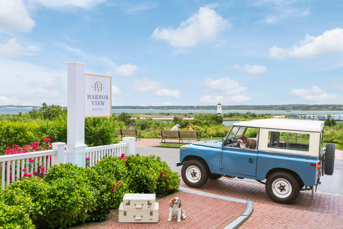 The Arrival, Harbor View Hotel, Martha’s Vineyard