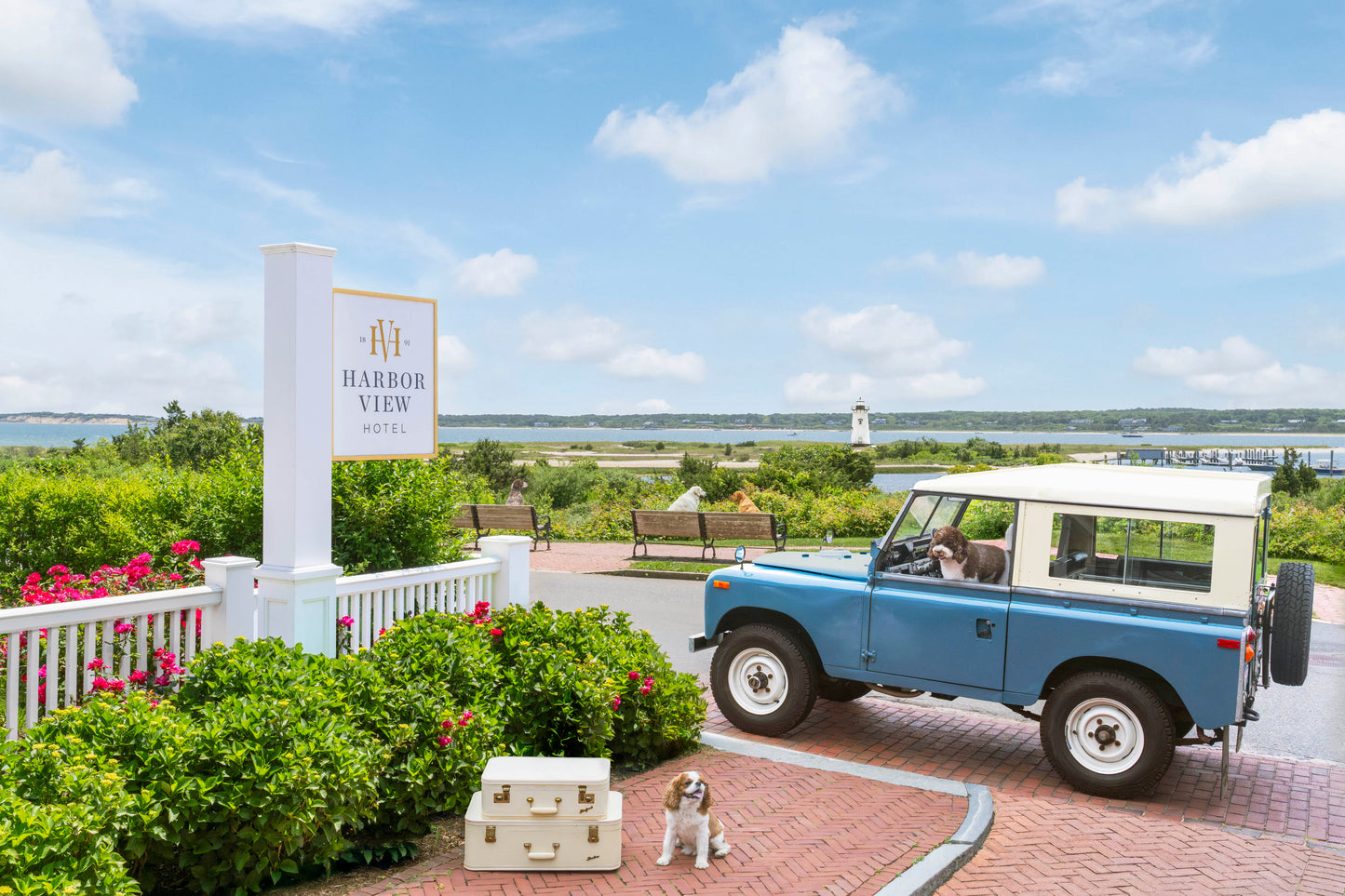 The Arrival, Harbor View Hotel, Martha’s Vineyard