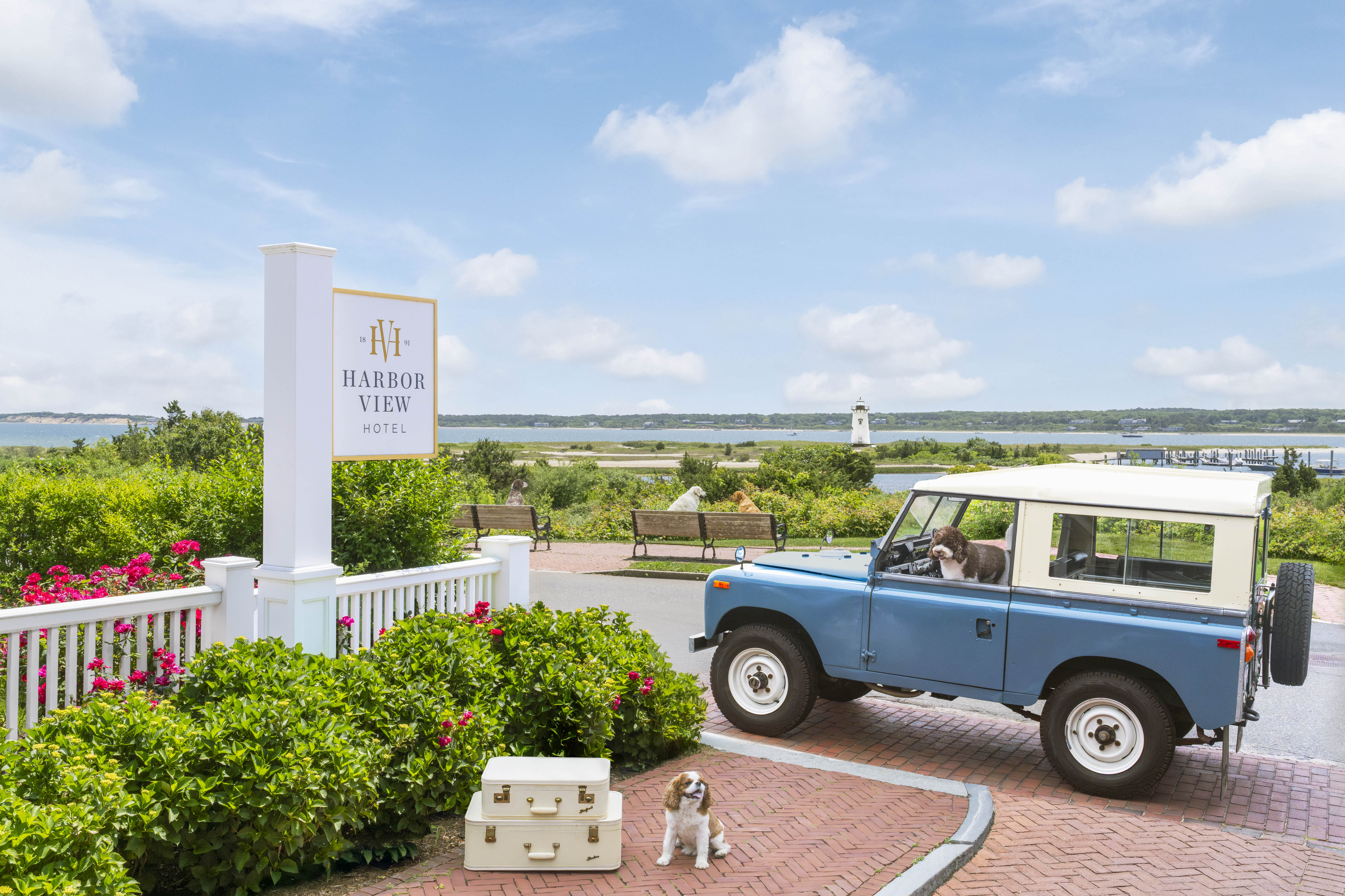 The Arrival, Harbor View Hotel, Martha’s Vineyard