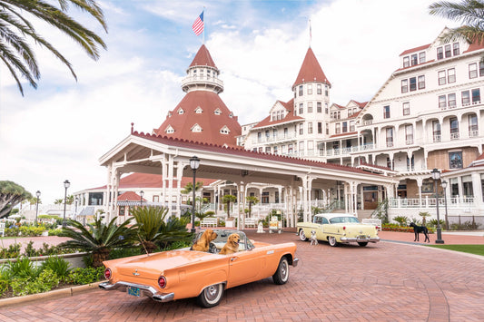 Product image for The Arrival, Hotel del Coronado