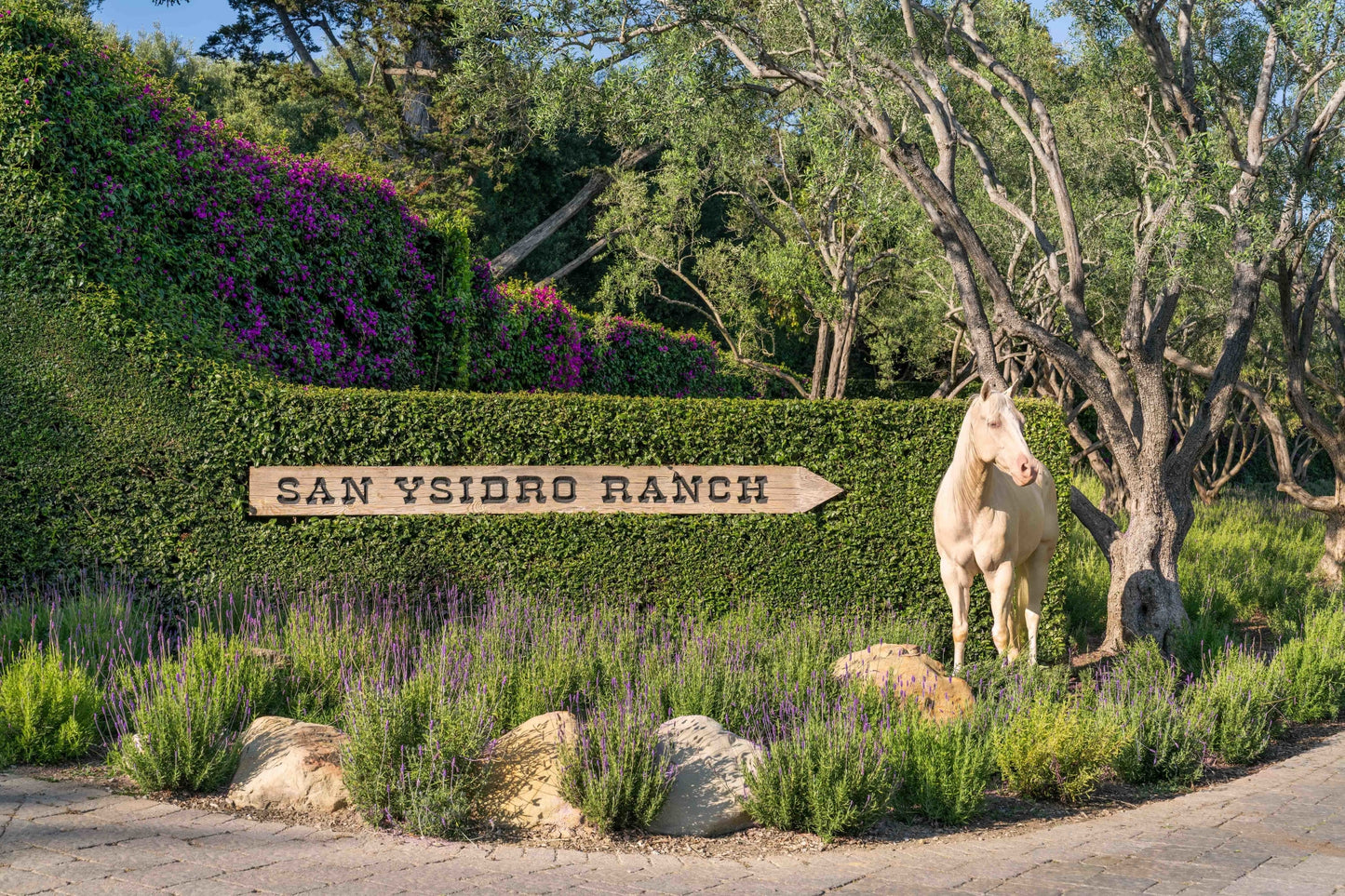 The Arrival, San Ysidro Ranch