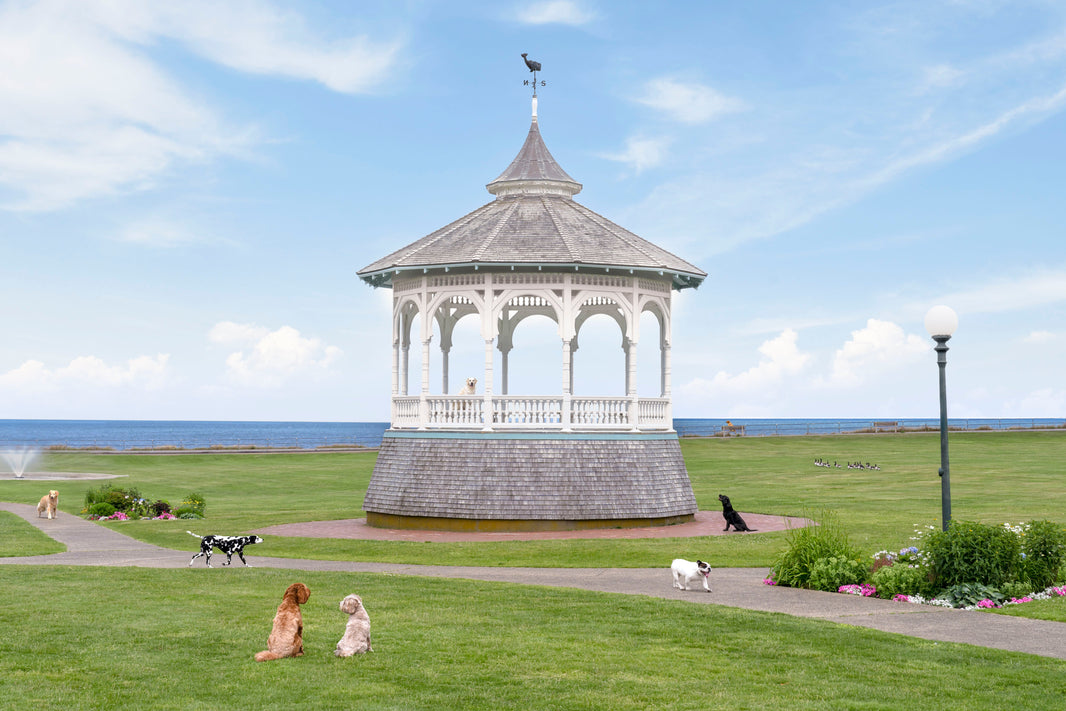 Photography by Gray Malin of The Bandstand, Oak Bluffs, Martha’s Vineyard