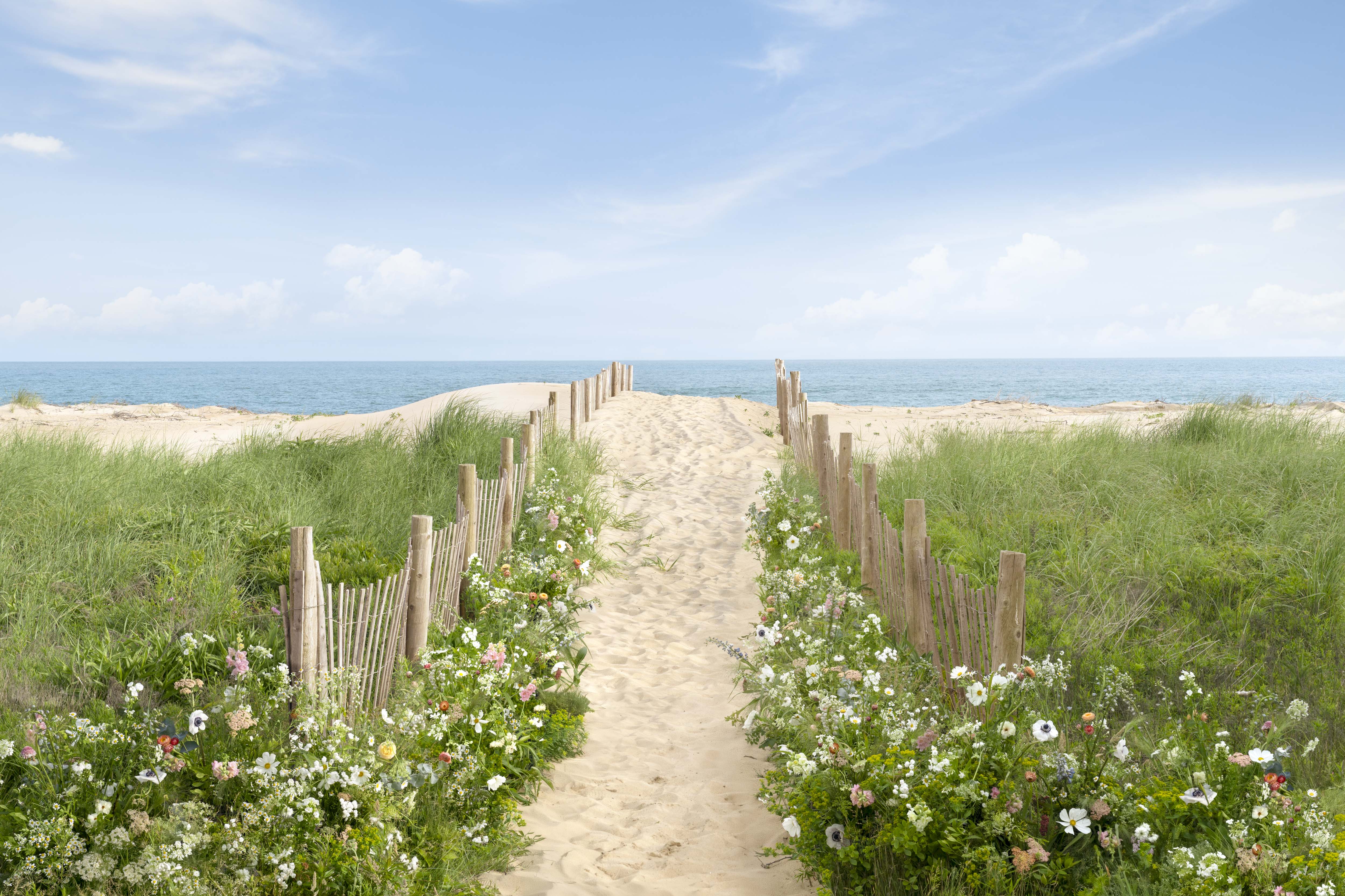 The Beach Path, South Beach, Martha’s Vineyard