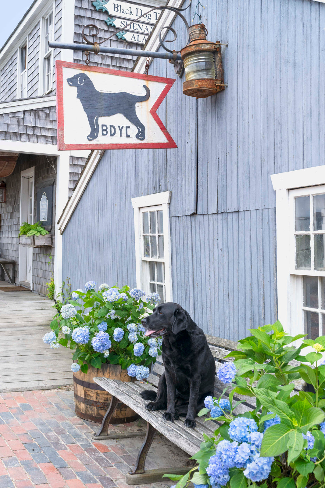 Photography by Gray Malin of The Black Dog, Martha’s Vineyard