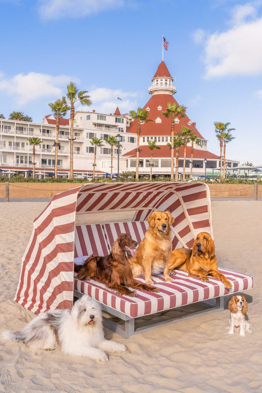 The Cabana, Hotel Del Coronado