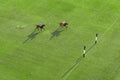 The Charge, Polo Club