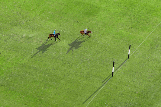 The Charge, Polo Club
