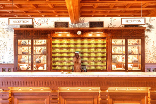 The Concierge, Hotel del Coronado