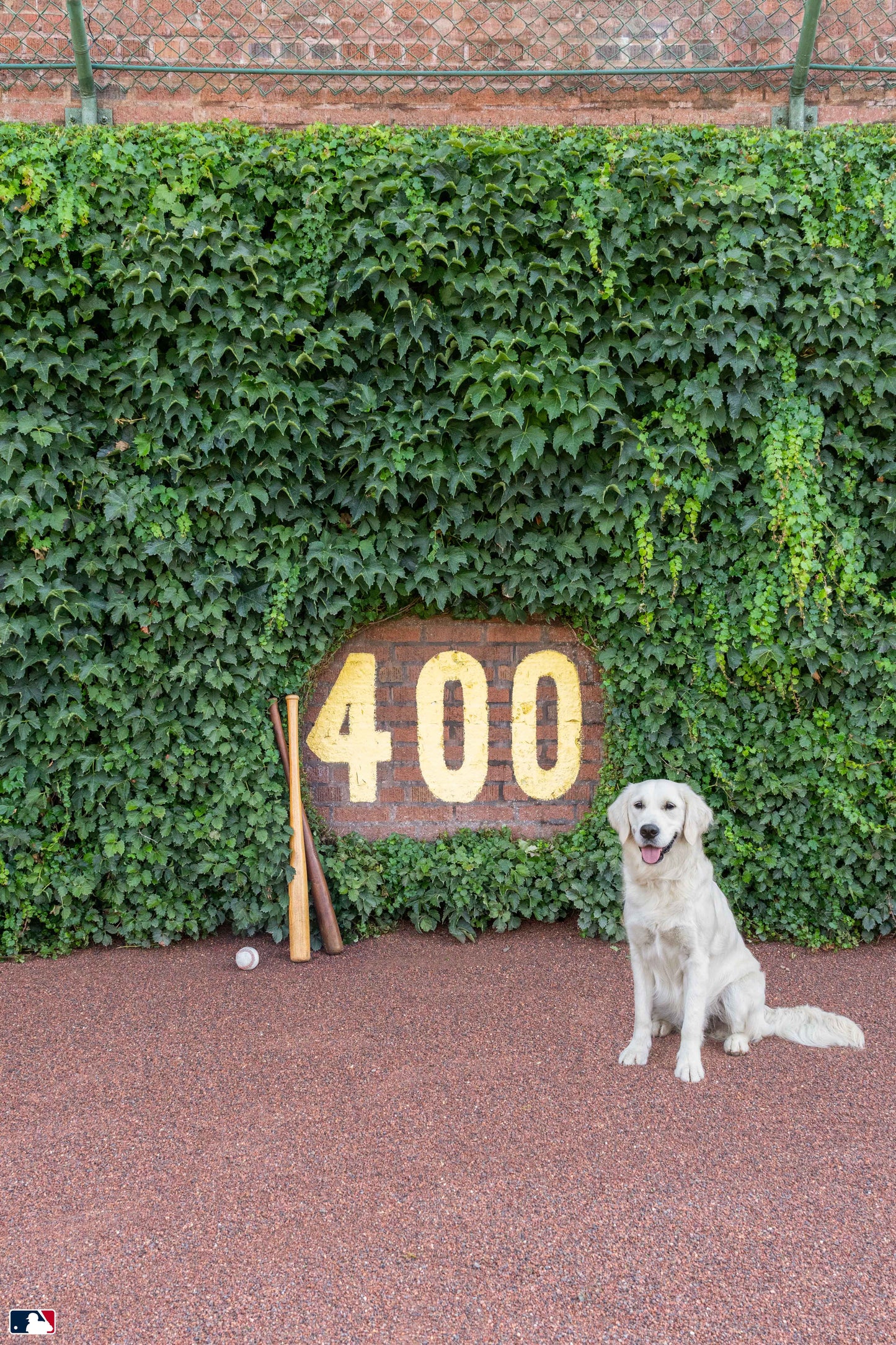 The Heart of Wrigley Vertical, Wrigley Field, Chicago