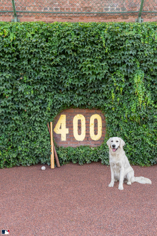 The Heart of Wrigley Vertical, Wrigley Field, Chicago