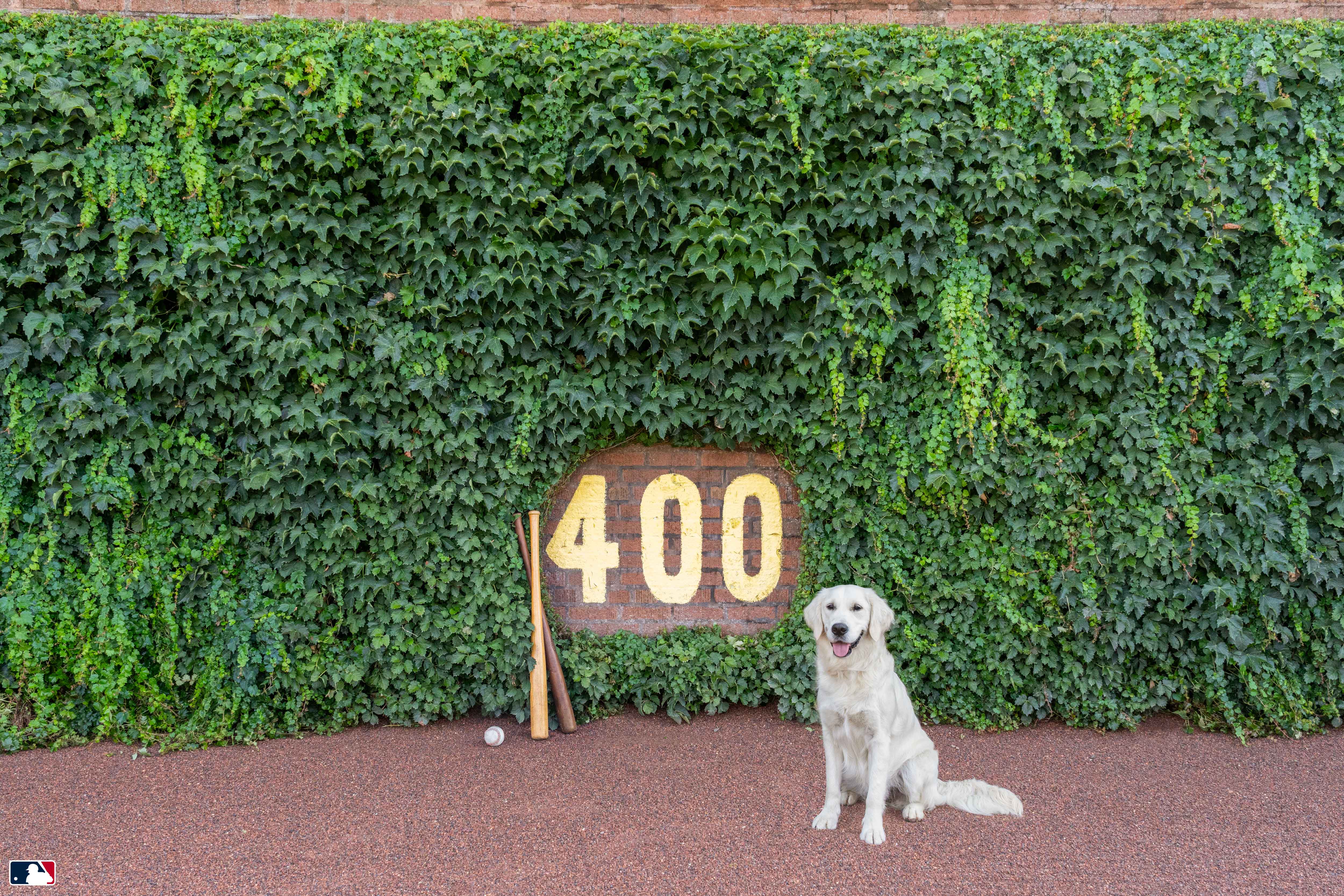 The Heart of Wrigley, Wrigley Field, Chicago