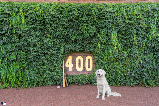 The Heart of Wrigley, Wrigley Field, Chicago