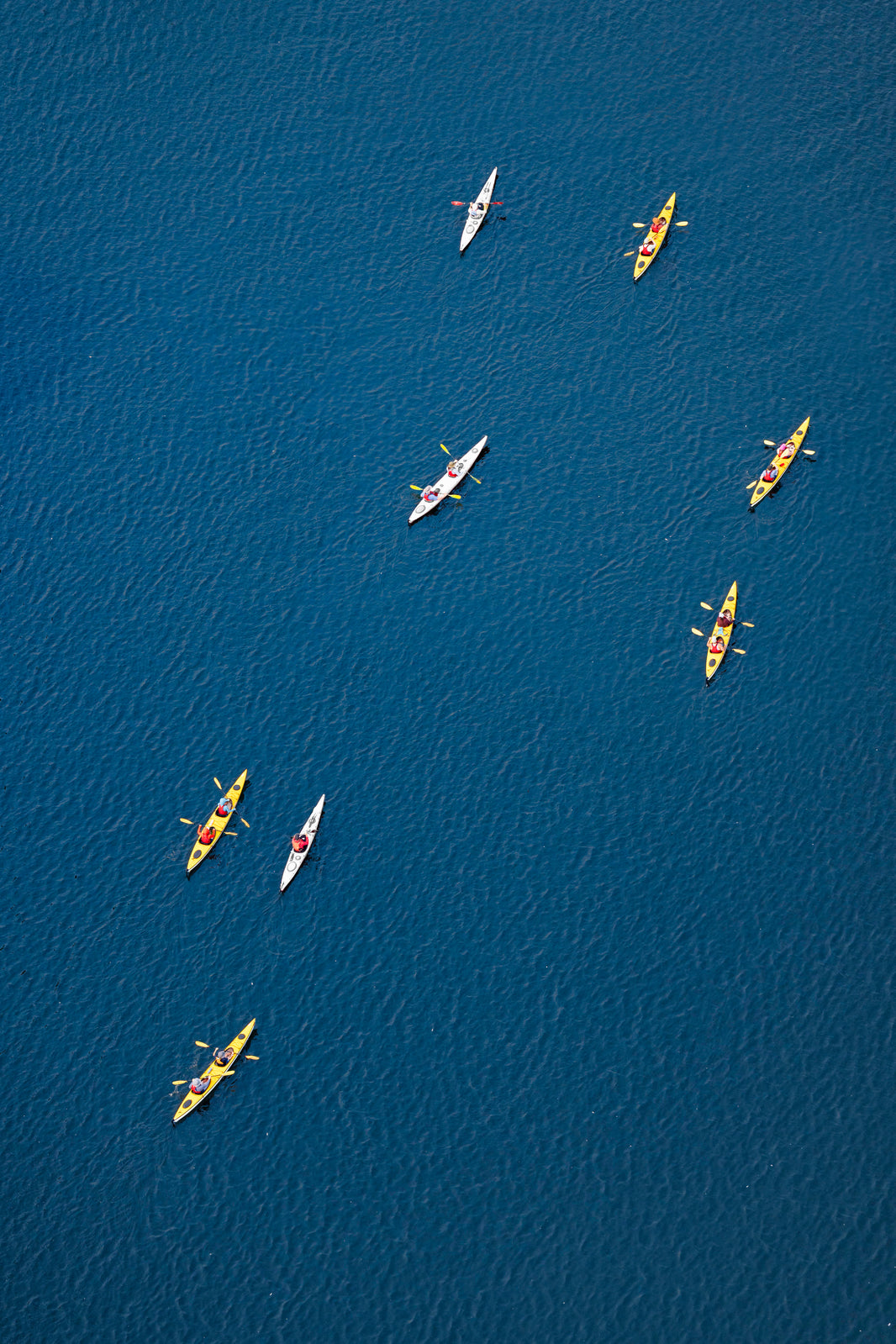 Photography by Gray Malin of The Kayakers, Lake Union, Seattle