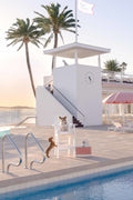 The Lifeguard, Coral Casino