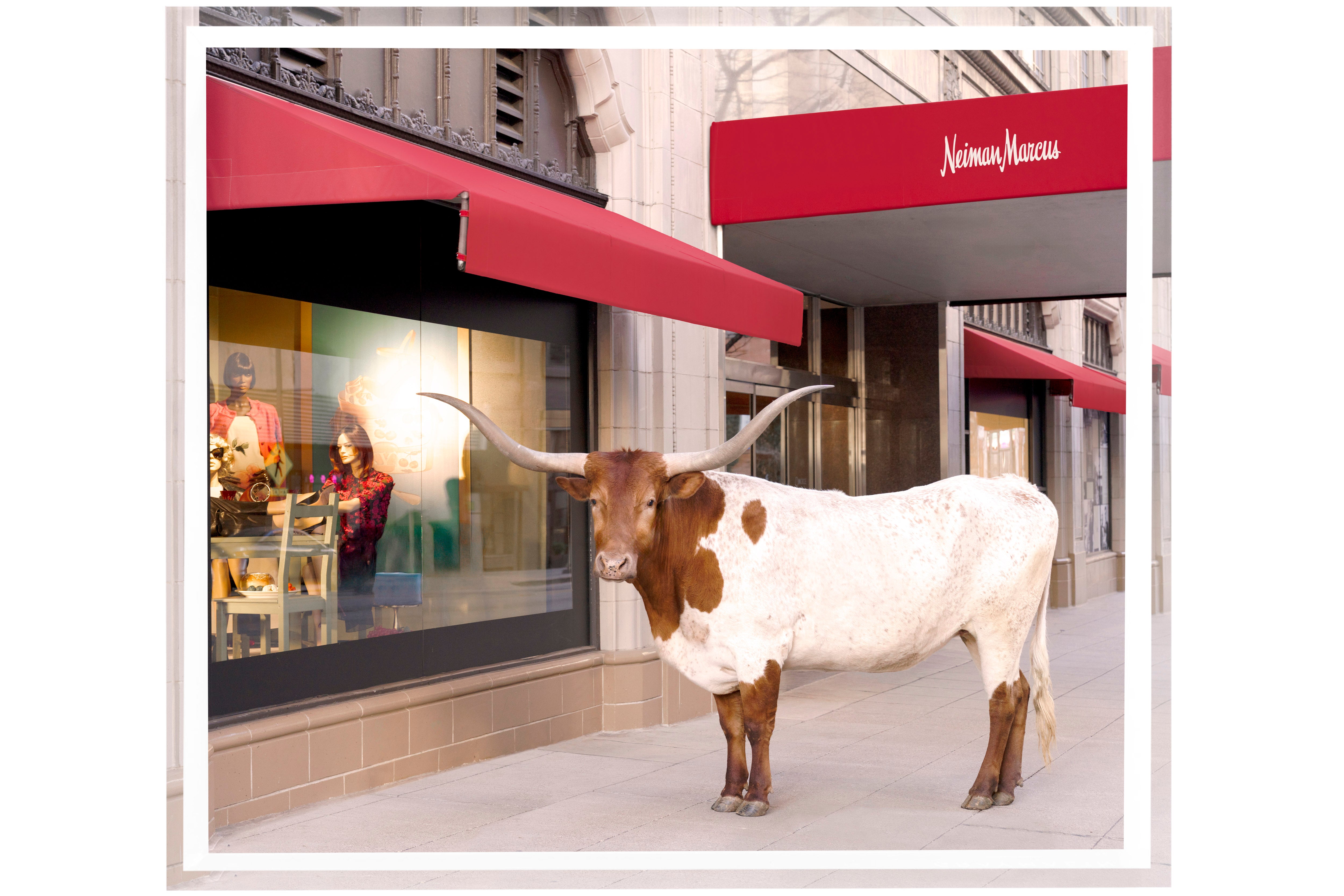 The Longhorn, Neiman Marcus, Downtown Dallas Tray by Gray Malin