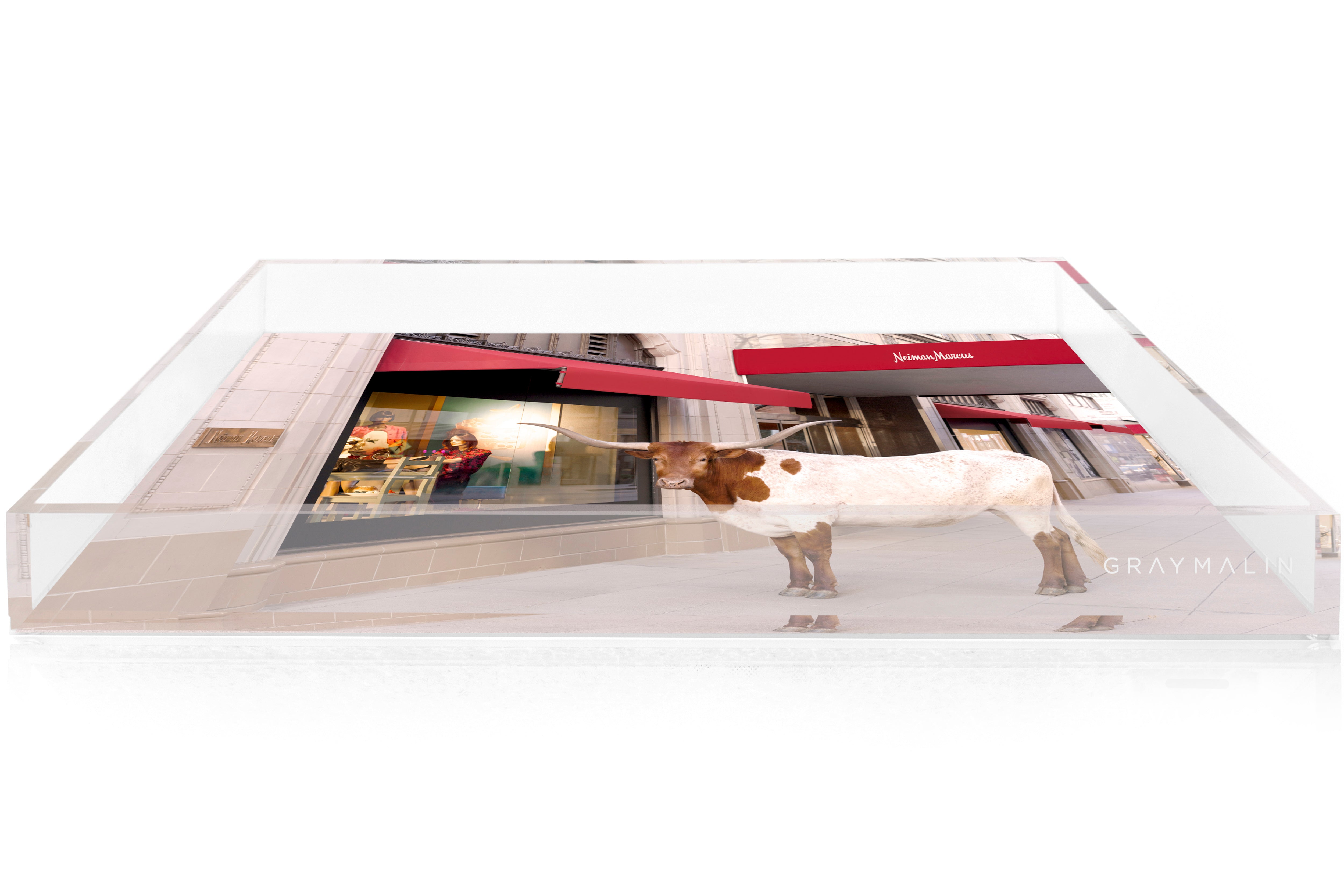 The Longhorn, Neiman Marcus, Downtown Dallas Tray by Gray Malin
