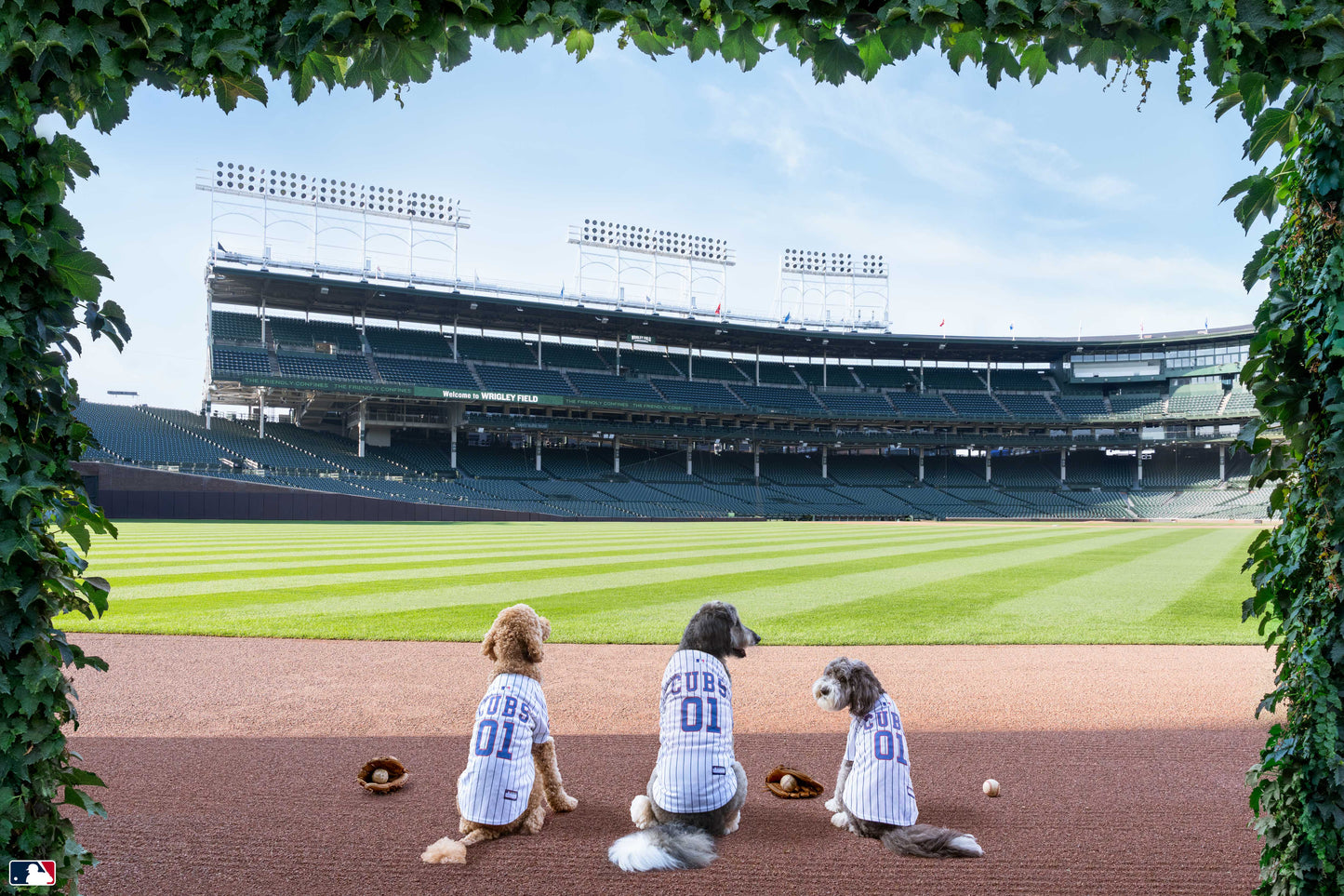 The Outfielders, Wrigley Field, Chicago