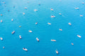 The Playpen Boats, Chicago