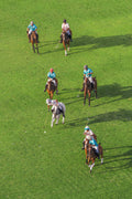 The Quest, Polo Club